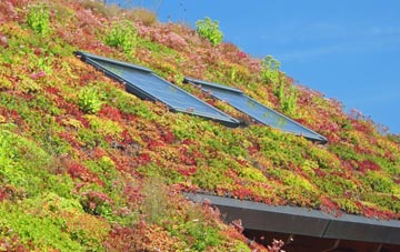 Normanton On The Wolds living roof systems